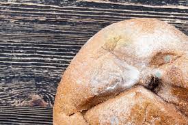4 Simple Ways To Tell Your Bread Is Bad No Special Equipment Needed