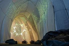 Where Rocks are Fed to Trees