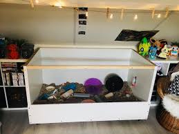 You can learn how to build a hamster cage of this caliber in this. My Female Syrian S New Diy Cage Hamsters