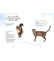 Protège carnet de santé chat botté brodé perso. Un Guide Bien Etre Des Matous Gates
