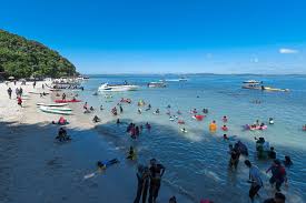 Vuelos a pulau kapas restaurantes en pulau kapas qué hacer en pulau kapas foro de viajeros de pulau kapas fotos de pulau categorías populares en pulau kapas. Protecting Beauty Of Pulau Kapas The Star