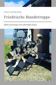 Hundetreppe Hundezubehor Hund Unter Treppe Hunde Alter Hund