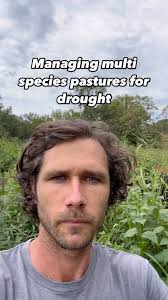 Sequatchie Cove Farm(@sequatchiecovefarm) • Instagram写真と動画