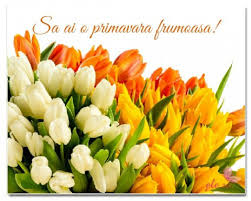 Un buchet de ghiocei pentru o persoană specială. 1 Martie 2018 FelicitÄƒri Mesaje UrÄƒri De MÄƒrÅ£isor SÄƒ AveÅ£i O PrimÄƒvarÄƒ PlinÄƒ De Soare Si Fericir