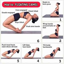 Start guideline for the body, make a hood in the middle portion. Floating Camel Step By Step Instructions And Benefits Fitzabout