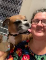 I had to put my sweet old man down a couple weeks ago 💛 Let me see your  rainbow 🌈 pups 💛🌈