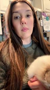 Missing Calico Cat Chicago