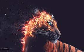 Free download hd & 4k quality many beautiful desktop wallpapers to choose from. Worlds Best Wallpaper Animal Hd Wallpaper 2560x1440 Hd Wallpapers Desktop Background