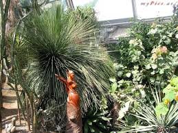 Der archivlink wurde automatisch eingesetzt und noch nicht geprüft. Botanischer Garten Ausflugsziele In Graz Fotos