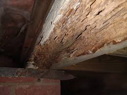 If not worn through or loose. Termite Damage Repair Raleigh Nc Raleigh