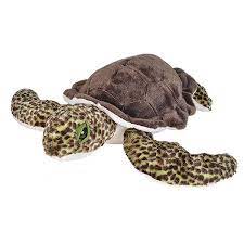 Pin On Awkward Turtles