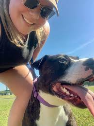 Adopt Hera, a loving and beautiful 45-pound dog in Greenville, NC