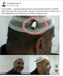 Hasil gambar untuk palestina banjir ikan