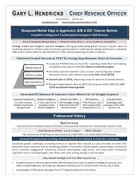 chief revenue officer resume