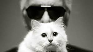 Maybe you would like to learn more about one of these? La Succession Lagerfeld Choupette Peut Elle Heriter Omega Avocats Succession