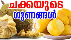 Chakka erissery is very famous in kerala as a side dish for rice. à´šà´• à´•à´¯ à´Ÿ à´— à´£à´™ à´™àµ¾ Benefits Of Jackfruit Malayalam Tasty World Heath Benefits Of Jackfruit Youtube