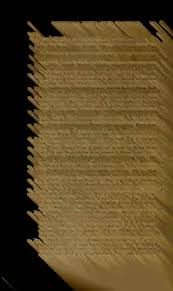 Image result for Elionurus platypus