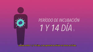Incubacion Del Corona Virus Youtube