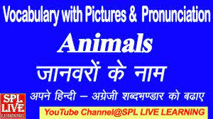English Vocabulary Animals Name With Pictures And Hindi Meaning With Pronunciation Youtube