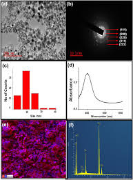 Image result for Monsonia burkeana
