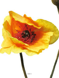 .bouquet de coquelicots coquelicots rouges coquelicots / 5pcs artificial flower bouquets artificial corn poppy flowers. Pavot Artificiel H 70 Cm 2 Fleurs Et 1 Bouton Superbe Fleur Du Site Artificielles Com