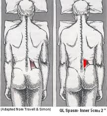 Pin On Physical Therapy