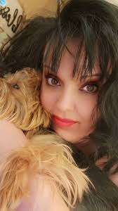 YORKIE OF THE DAY Morning cuddles! Meet the pup who's about to brighten  your day! Photo by: Esther Troglen Chedville