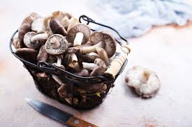 We did not find results for: Funghi Freschi Consigli Per Cuocerli E Conservarli Al Meglio