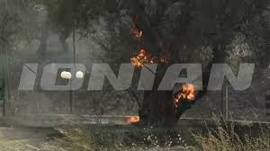 Άμεσα κινητοποιήθηκαν 21 πυροσβέστες με 1 ομάδα πεζοπόρου τμήματος, 7 οχήματα και. 0h5xxk2u3pmxfm