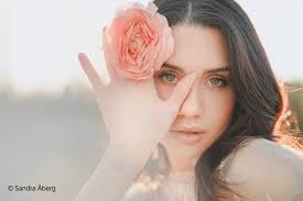 Neues Sony G Master Vollformat-Objektiv mit 50 mm Festbrennweite -