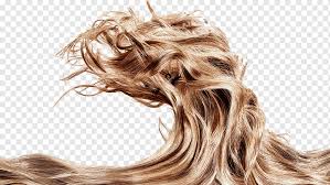 I have black straight hair and i never use blow drier…i just towel dry and comb it and my hair looks like i have blow dried it bec it's so straight and very manageable. Pantene Png Images Pngwing