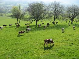 Agriculture , administration , public , chambre d'agriculture. Qui Sommes Nous