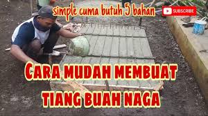 Blok kutub hendaklah dibentangkan dengan menegak yang sesuai. Cara Mudah Membuat Tiang Buah Naga Yang Tahan Lama Membuat Tonggak Buah Naga Youtube