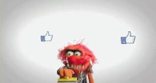 Facebook Rolls Out The Gif Button For Comments To All Users Techcrunch You can share gifs on facebook just as easily as photos, and in most of the same locations.