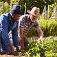 MSCC Community Garden event in Melton South VIC