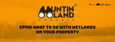 By slowing releasing water, wetlands help prevent erosion. What To Do With Wetlands On Your Property Great Days Outdoors