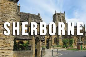 Image result for Sherbournia