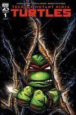 Teenage Mutant Ninja Turtles #1 Cover A-Rafael Albuquerque (IDW Publishing  July 2024) for sale online