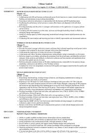 Principal consultants typically have an area of expertise they want their resumes to illustrate. Bilingual Senior Human Resources Advisor