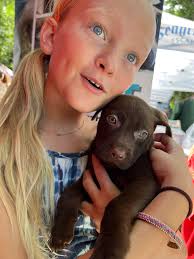 Bahamas Humane Society...