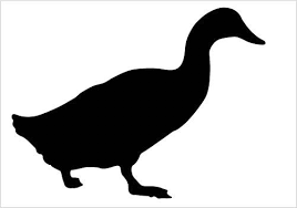 Black And White Goose Silhouette Water Theme Graphic Designs A Single Duck Silhouette Vector Clipart Duck Silhouette Bird Silhouette Animal Silhouette