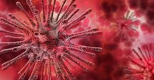 It is diagnosed with a laboratory test. Novel Coronavirus 2019 Ncov Where Are We Now And Where Should We Be Going Bmc Series Blog