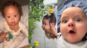 arm farts to twinkle little star