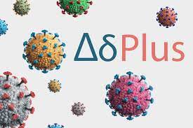 هو واحد من أحد أجناس فيروسات كورونا الأربعة (الفا، بيتا، غاما، و دلتا) وهو من الفيروسات الإكليلية. ØªÙ‚Ù„Ù‚ Ø§Ù„Ø£Ø·Ø¨Ø§Ø¡ Ø£ÙƒØ«Ø± Ø£Ø¹Ø±Ø§Ø¶ ØªØ¯Ù„ Ø¹Ù„Ù‰ Ø§Ù„Ø¥ØµØ§Ø¨Ø© Ø¨Ù…ØªØºÙŠØ± Ø¯Ù„ØªØ§ Ø§Ù„Ø¹Ø§Ù„Ù… Ø§Ù„Ø¬Ø²ÙŠØ±Ø© Ù†Øª