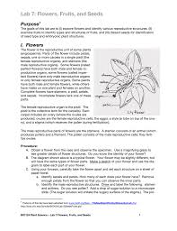 The flower has an inner white area and is somewhat hairy. Lab 7 Flowers Fruits And Seeds