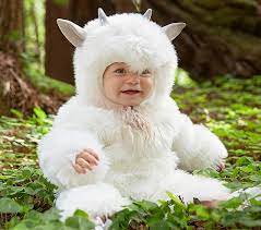 Baby Goat Costume Pottery Barn Kids