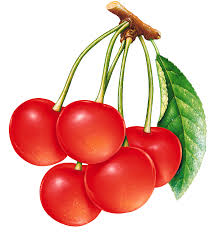 Download the cherry, fruits png on freepngimg for free. Cherries Png Image