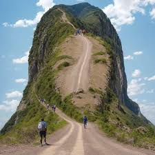 What does it look like