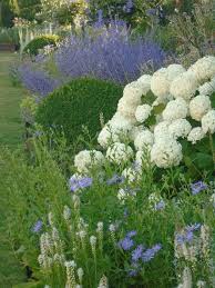 Pin Von Nicole Brunner Auf Dialogue Avec Mon Jardinier In 2020 Bepflanzung Landschaftseinfassung Pflanzen