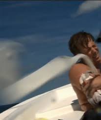 About press copyright contact us creators advertise developers terms privacy policy & safety how youtube works test new features press copyright contact us creators. Freek Vonk Lag Na Haaienbeet Lijkbleek In Een Bootje Show Ad Nl